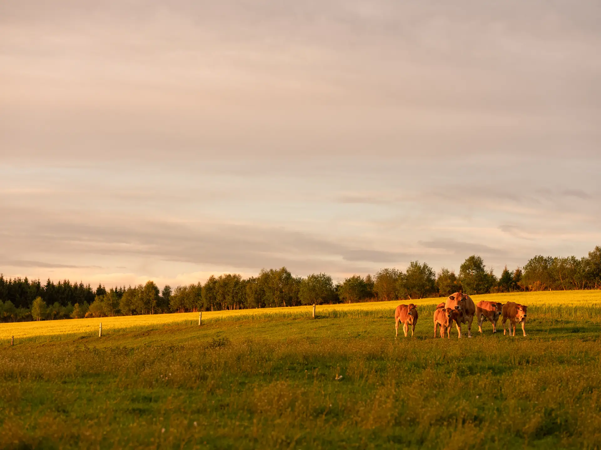 190521sainbiooz049-scaled