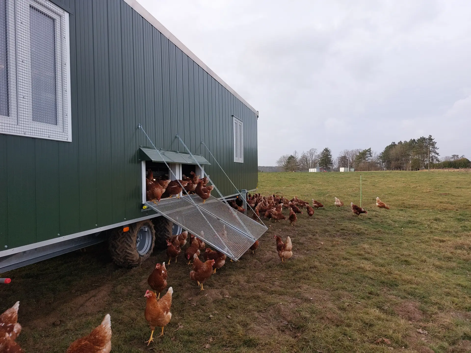 20240124_154154-1-scaled