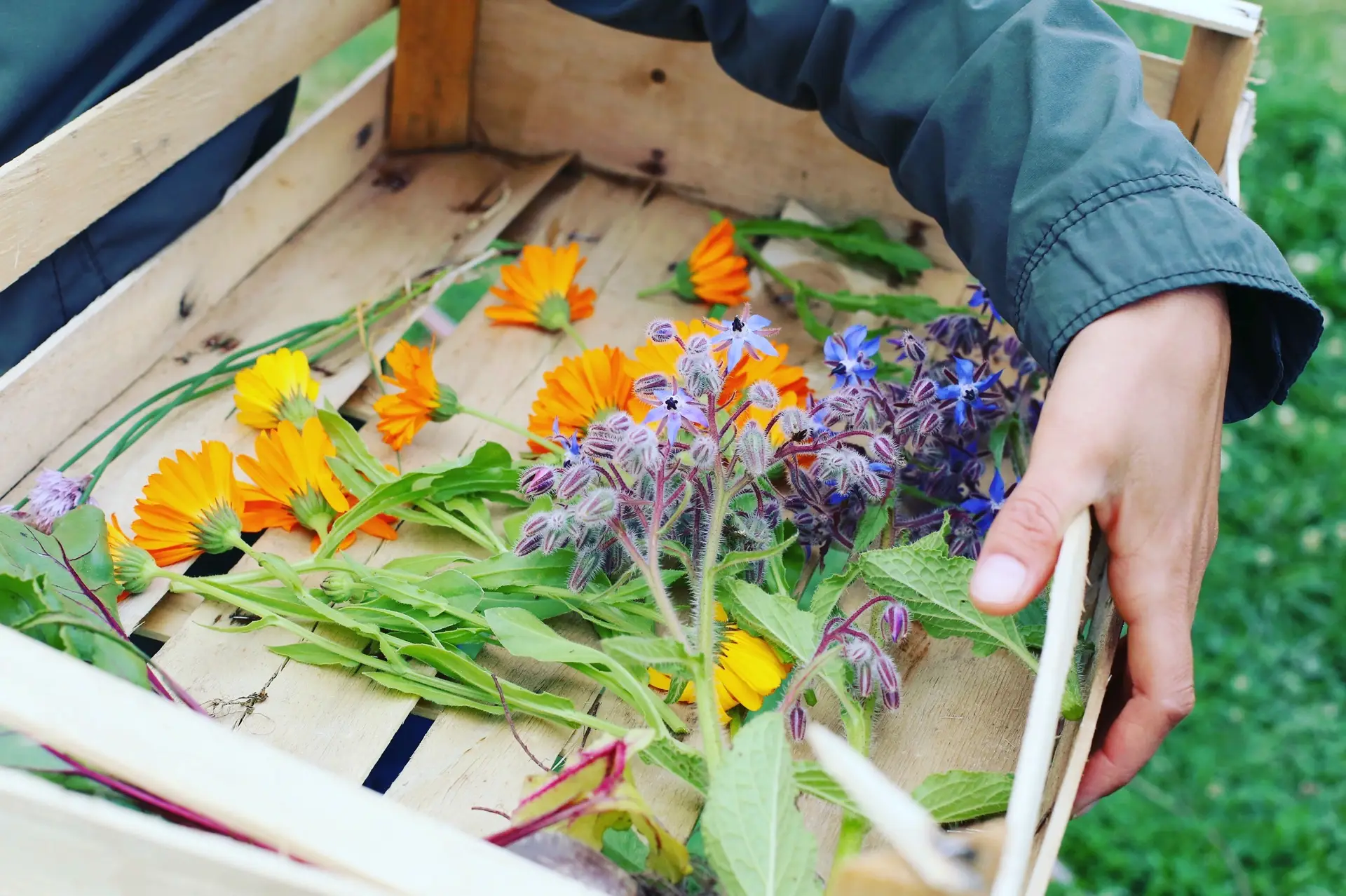 8F9AE582-DB0C-48DE-AB5A-62802605AFD3