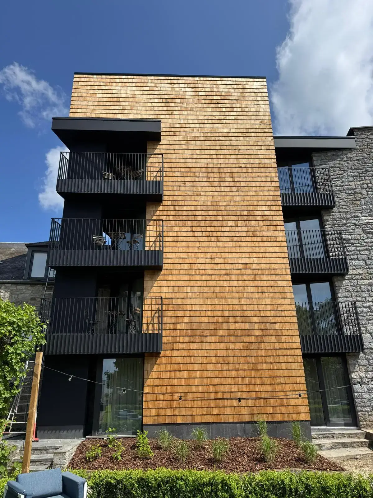 WhatsApp Image 2025-05-15 at 19.44.50