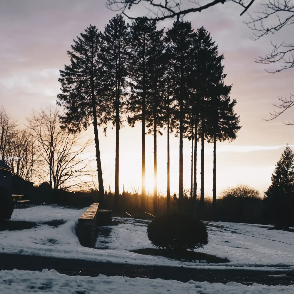 Capture d’écran 2024-08-27 à 14.49.22